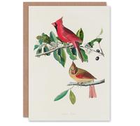 Artery8 John James Audubon Art Card Cardinal Grosbeak Bird