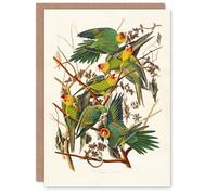 Artery8 John James Audubon Art Card Carolina Parakeet Parrot