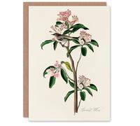 Artery8 John James Audubon Art Card Cuviers Kinglet Bird and Mountain Laurel