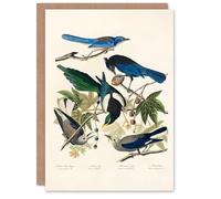 Artery8 John James Audubon Art Card Magpie Clarks Crow and Jays