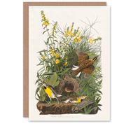 Artery8 John James Audubon Art Card Meadow Lark Bird and Yellow False Foxglove