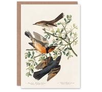 Artery8 John James Audubon Art Card Mountain Mocking Bird & Thrush in White Artery8 White