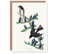 Artery8 John James Audubon Art Card Olive Sided Flycatcher Bird on Fir Tree