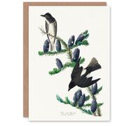 Artery8 John James Audubon Art Card Olive Sided Flycatcher Bird on Fir Tree