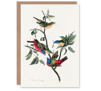 Artery8 John James Audubon Art Card Painted Finch on Olive Branch