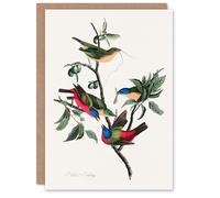 Artery8 John James Audubon Art Card Painted Finch on Olive Branch