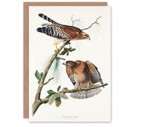 Artery8 John James Audubon Art Card Red Shouldered Hawk