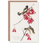 Artery8 John James Audubon Art Card Rice Birds and Maple Tree Flowers