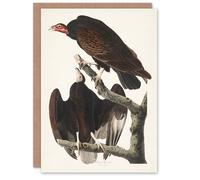 Artery8 John James Audubon Art Card Turkey Buzzard Vulture