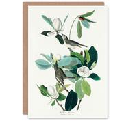 Artery8 John James Audubon Art Card Warbling Flycatcher and Magnolia Flowers