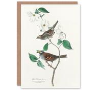 Artery8 John James Audubon Art Card White Throated Sparrow