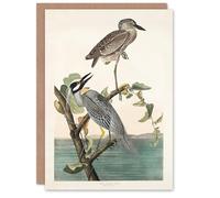 Artery8 John James Audubon Art Card Yellow Crowned Heron