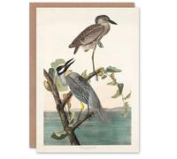 Artery8 John James Audubon Art Card Yellow Crowned Heron