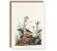 Artery8 John James Audubon Art Card Yellow Winged Sparrow