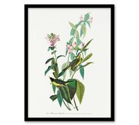 Artery8 John James Audubon Framed Wall Art Green Black Capped Flycatcher in White | Size: A3 Artery8 White A3