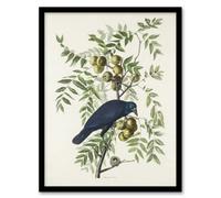 Artery8 John James Audubon Framed Wall Art Print American Crow On Walnut Tree - A4 Size