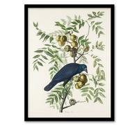Artery8 John James Audubon Framed Wall Art Print American Crow on Walnut Tree in White | Size: A3 Artery8 White A3