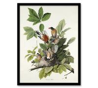 Artery8 John James Audubon Framed Wall Art Print American Robin Birds Nest - A3 Size