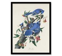 Artery8 John James Audubon Framed Wall Art Print Blue Jay And Trumpet Flowers - A4 Size