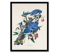 Artery8 John James Audubon Framed Wall Art Print Blue Jay & Trumpet Flowers in White | Size: A4 Artery8 White A4