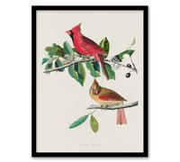 Artery8 John James Audubon Framed Wall Art Print Cardinal Grosbeak Bird - A3 Size