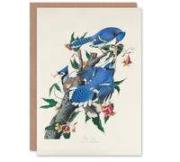 Artery8 John James Audubon Personalised Art Card Blue Jay and Trumpet Flowers