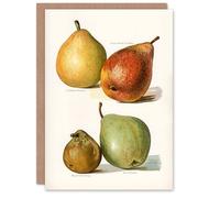 Artery8 John Wright Art Card Four Pear Varieties Vintage Illustration