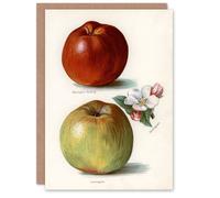 Artery8 John Wright Art Card Gascoignes Seedling Sandringham Apples