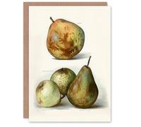 Artery8 John Wright Art Card Pear Varieties Vintage Fruit Illustration