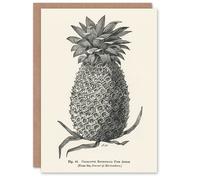 Artery8 John Wright Art Card Vintage Black White Pineapple Illustration Artery8 White