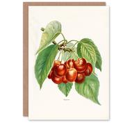 Artery8 John Wright Art Card Vintage Illustration of Bigarreau Cherries in White Artery8 White