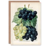 Artery8 John Wright Art Card Vintage Illustration of Grape Varieties in White Artery8 White