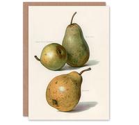 Artery8 John Wright Art Card Vintage Illustration of Pear Varieties