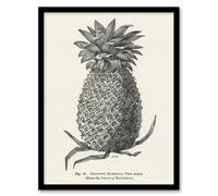 Artery8 John Wright Framed Wall Art Vintage Black White Pineapple Illustration - A3 Size