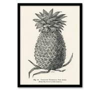 Artery8 John Wright Framed Wall Art Vintage Black White Pineapple Illustration - A4 Size