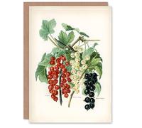 Artery8 John Wright Personalised Art Card Black Naples Victoria White Dutch Currants