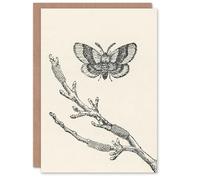Artery8 John Wright Personalised Art Card Fruit Growers Guide Lackey Moth