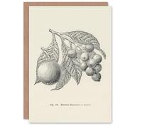 Artery8 John Wright Personalised Art Card Fruit Growers Guide Vintage Loquat Illustration