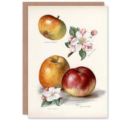 Artery8 John Wright Personalised Art Card King of Pippins Apple Vintage Illustration