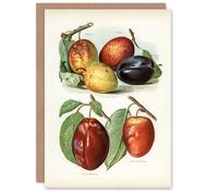 Artery8 John Wright Personalised Art Card Plum Varieties Vintage illustration