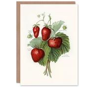 Artery8 John Wright Personalised Art Card Vintage Fruit Illustration of Strawberries