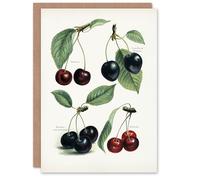 Artery8 John Wright Personalised Art Card Vintage Illustration of Cherry Varieties