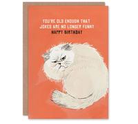 Artery8 Jokes Not Funny Old Age Joke Grumpy Cat Lover Blank For Him Or Her Art Birthday Card