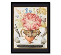 Artery8 Joris Hoefnagel Framed Wall Art Flowers Snail Insects & Butterflies | Size: A4 Artery8 Multicolor A4