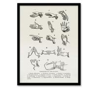 Artery8 Joseph Gibbons Richardson Framed Wall Art Positions Of Hand Gestures - A4 Size