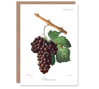Artery8 Jules Troncy Art Card Wine Grapes Mourvaison Ampelography