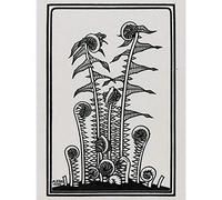 Artery8 Julie De Graag Ferns Plants Nature 1920 Premium Wall Art Canvas Print 18X24 Inch