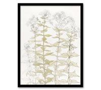 Artery8 Julie de Graag Framed Wall Art Print Phlox Colour Sketch of Flowers in White | Size: A3 Artery8 White A3
