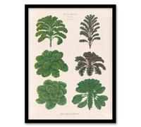 Artery8 Kales & Brussel Sprouts Ernst Benary Framed Wall Art Print in White | Size: W12" x H16" Artery8 White W12" x H16"