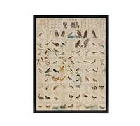 Artery8 Kato Chikusai Japan Birds Framed Canvas Wall Art Print | Size: W12" x H16" Artery8 Multicolor W12" x H16"